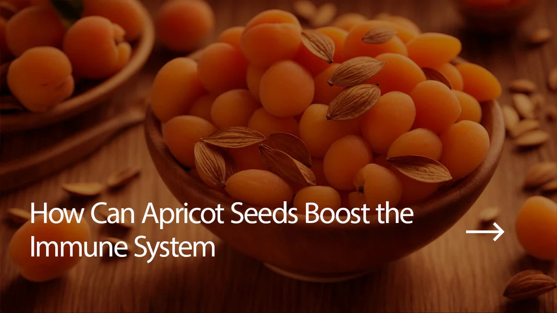 Read more about the article How Can Apricot Seeds Boost the Immune System