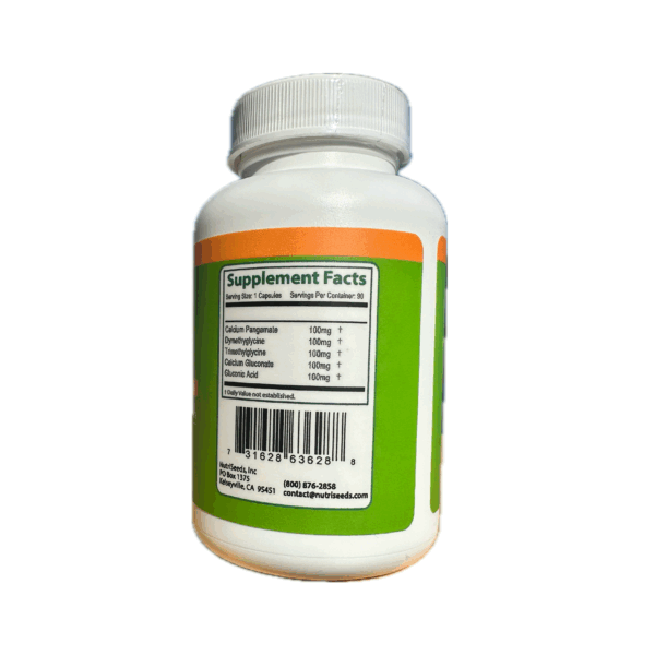 Natural B15 - Pangamic Acid 500mg - Image 2